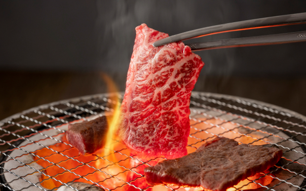 まだ画像が設定されていません。